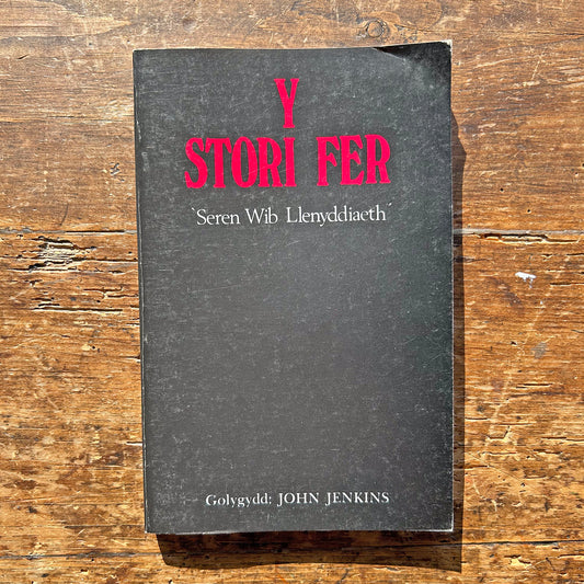 Y Stori Fer - Seren Wib Llenyddiaeth - John Jenkins 1979 (Preloved)