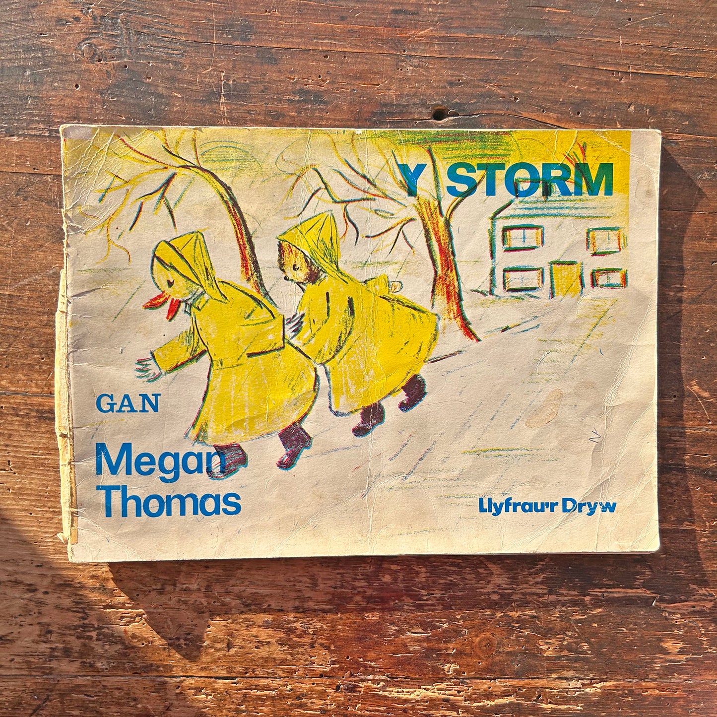 Y Storm - Megan Thomas - Vintage Welsh Book 1968 (Preloved)