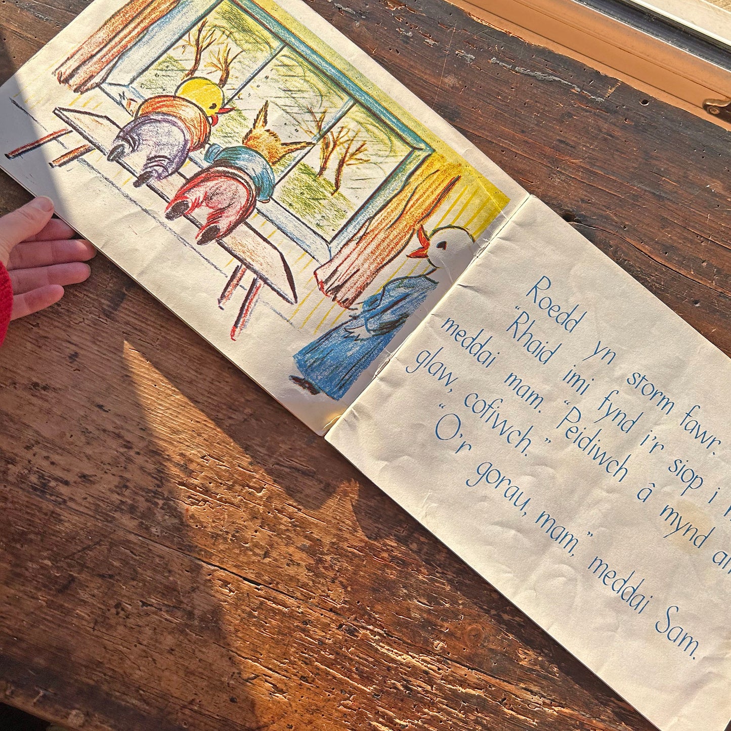 Y Storm - Megan Thomas - Vintage Welsh Book 1968 (Preloved)