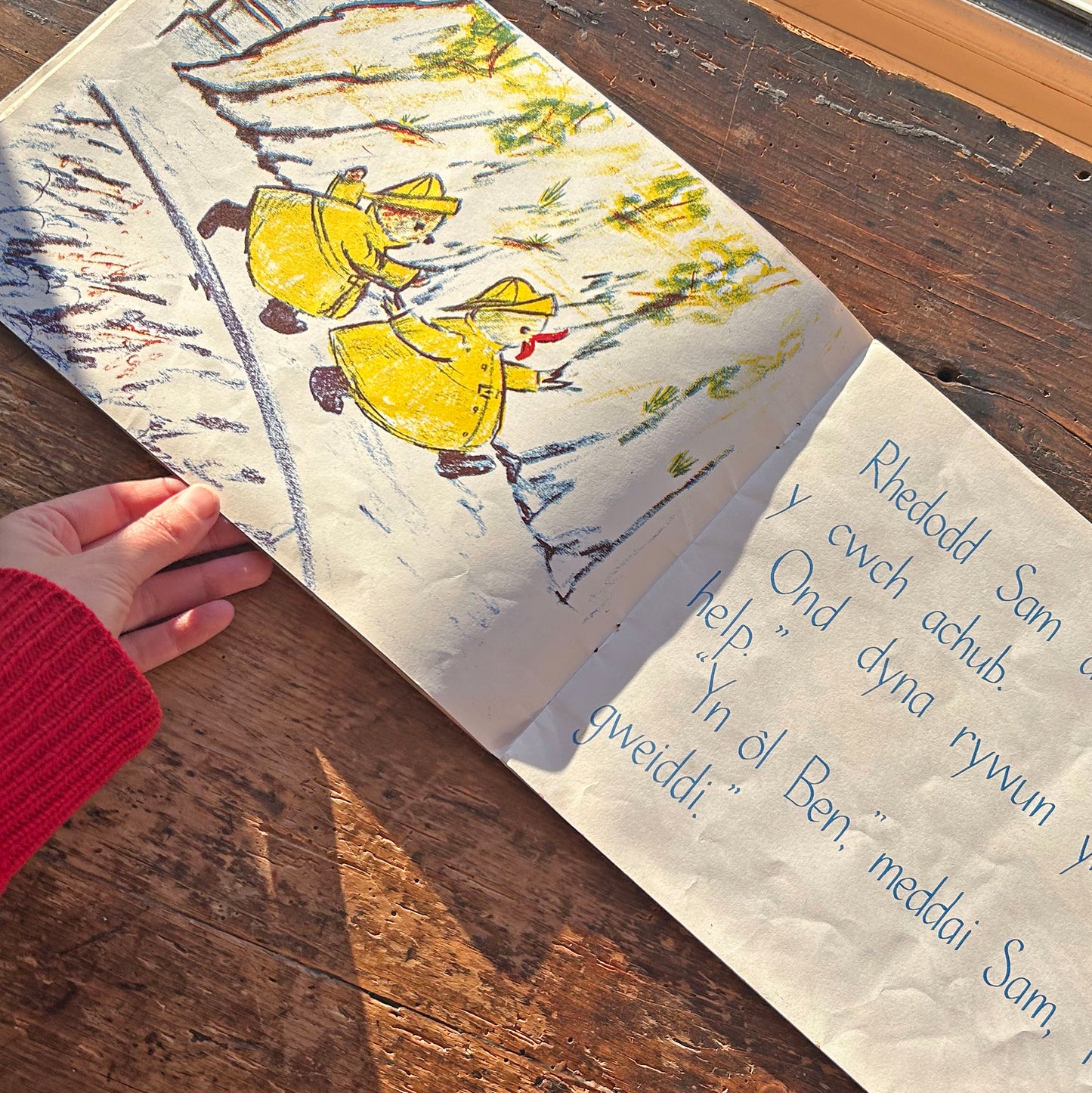 Y Storm - Megan Thomas - Vintage Welsh Book 1968 (Preloved)