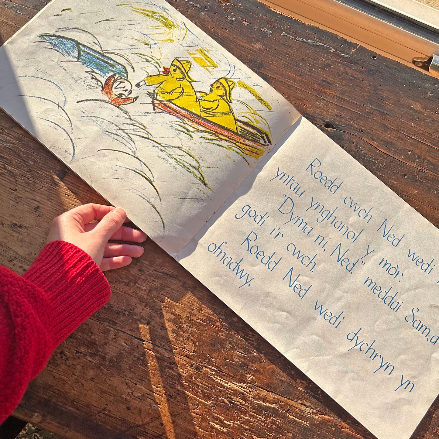 Y Storm - Megan Thomas - Vintage Welsh Book 1968 (Preloved)