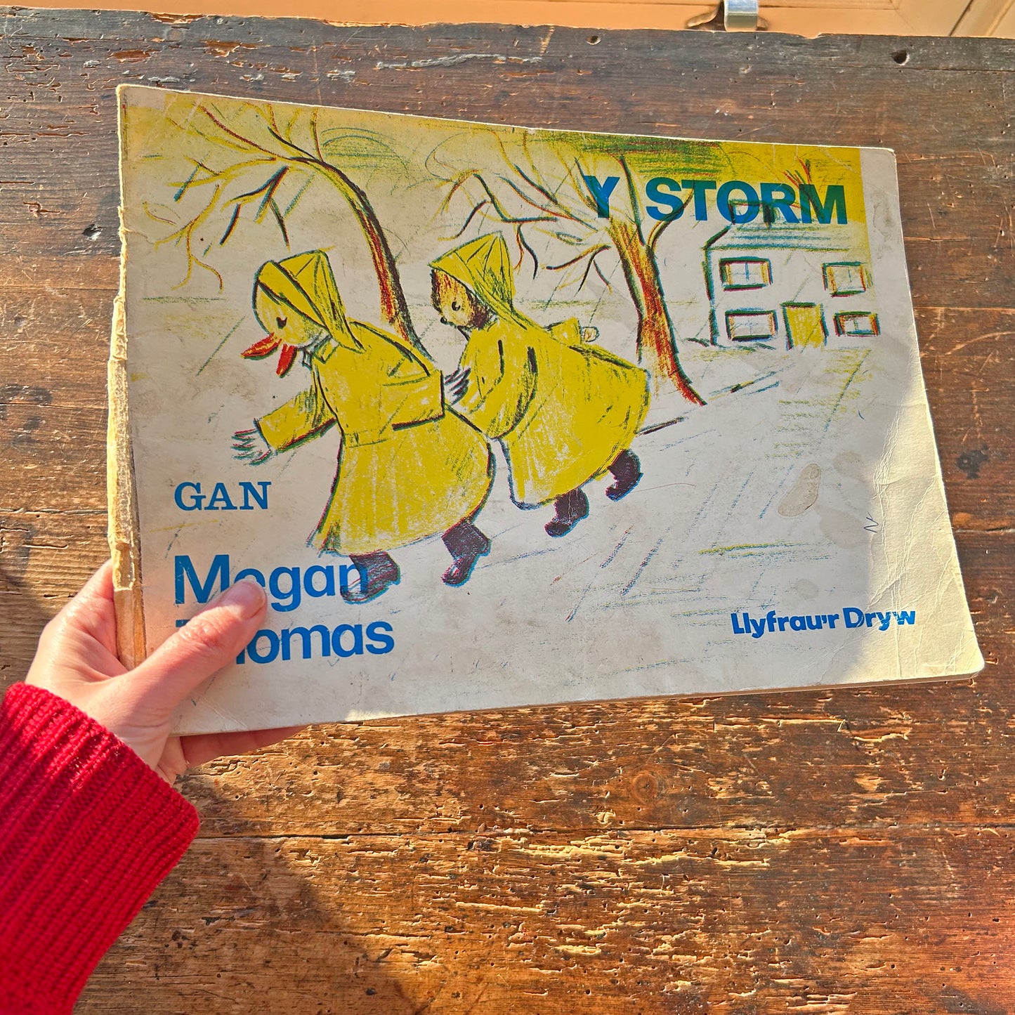 Y Storm - Megan Thomas - Vintage Welsh Book 1968 (Preloved)