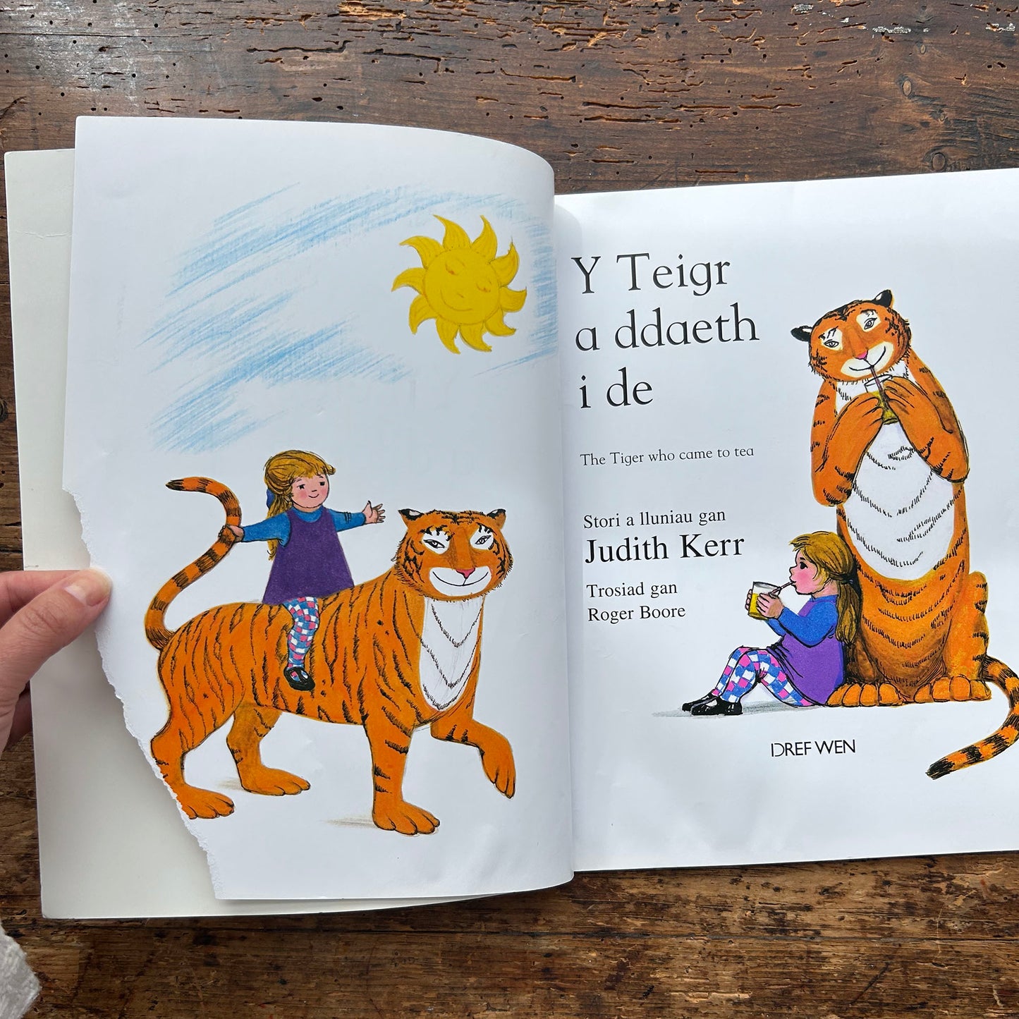 Y Teigr a Ddaeth i De - Y Teigr A Ddaeth i De - Cymraeg (Preloved)