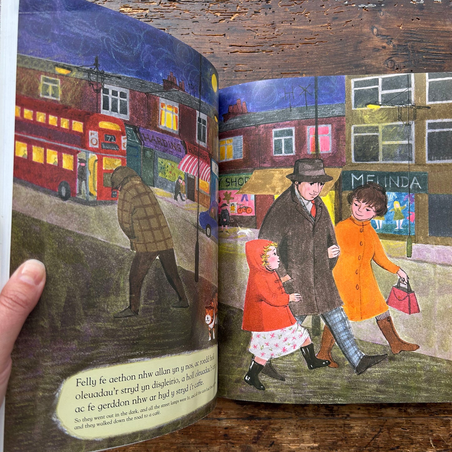 Y Teigr a Ddaeth i De - Y Teigr A Ddaeth i De - Cymraeg (Preloved)