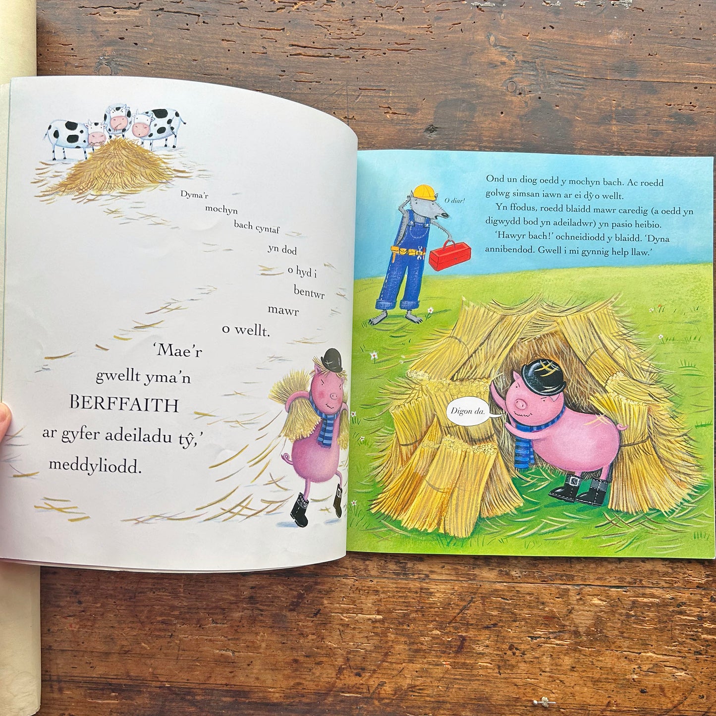 Y Tri Mochyn Bach Cas a'r Blaidd Mawr Caredig (Preloved)