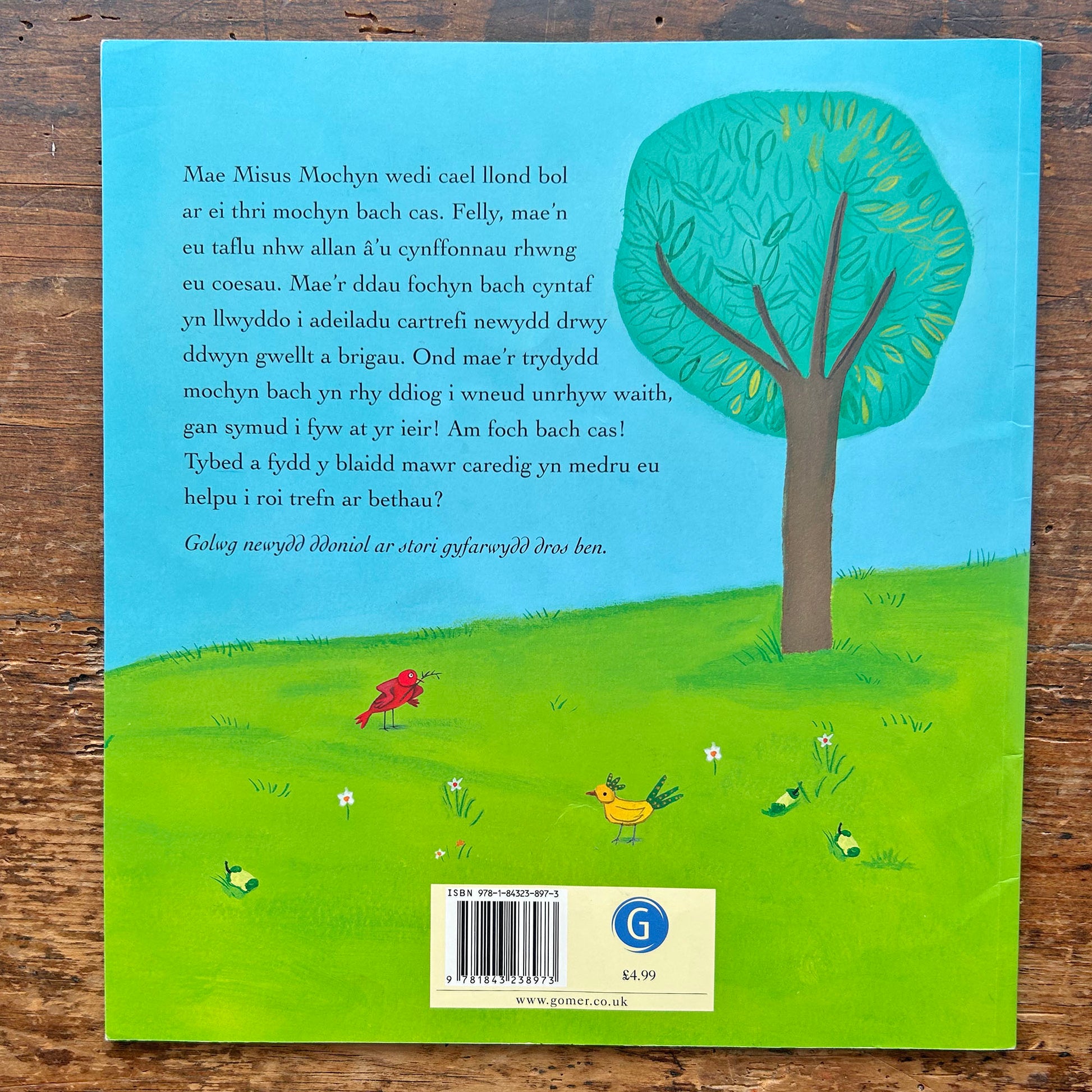 Y Tri Mochyn Bach Cas a'r Blaidd Mawr Caredig (Preloved)