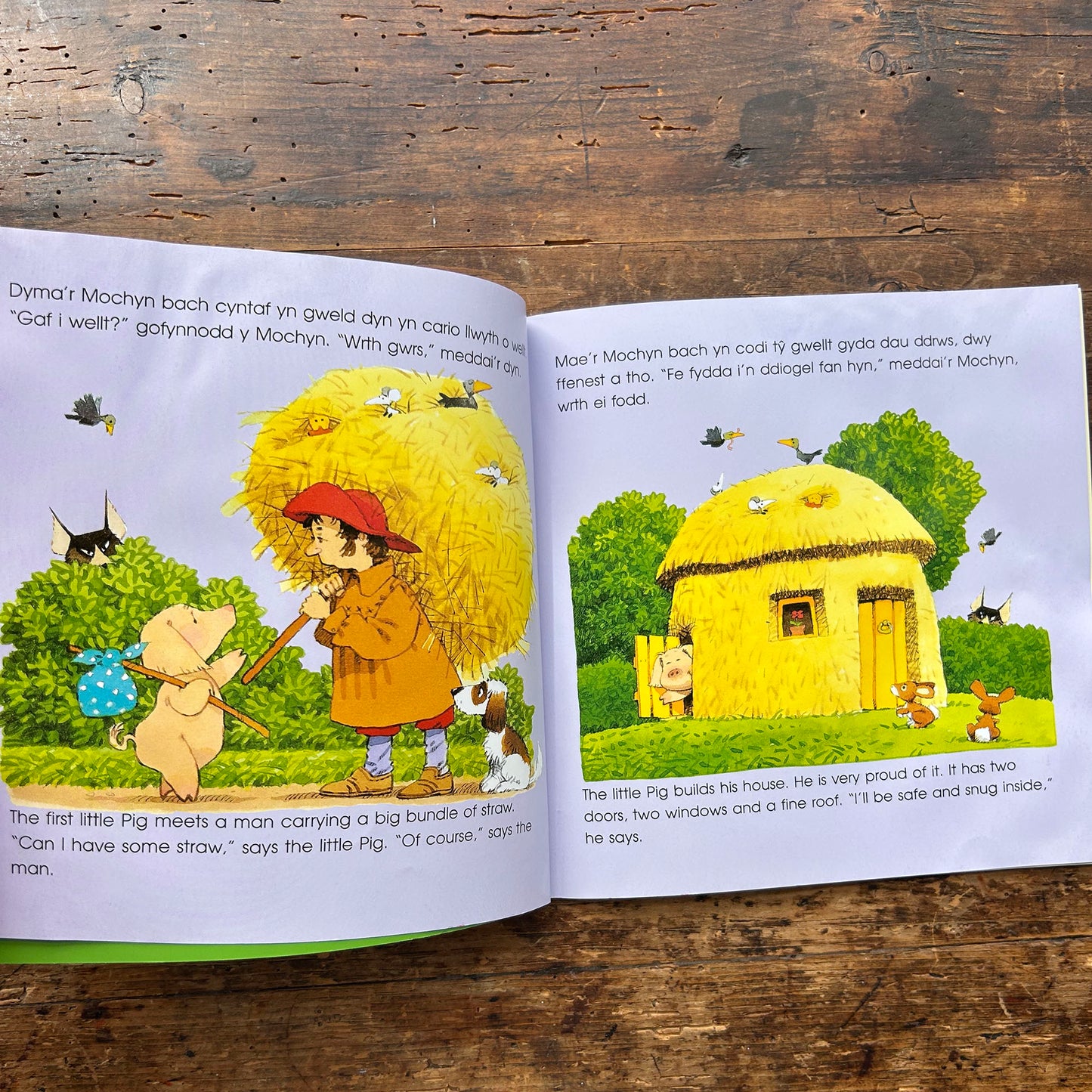 Y Tri Mochyn Bach - Three Little Pigs - Heather Amery & Stephen Cartwright - Welsh & English (Preloved)