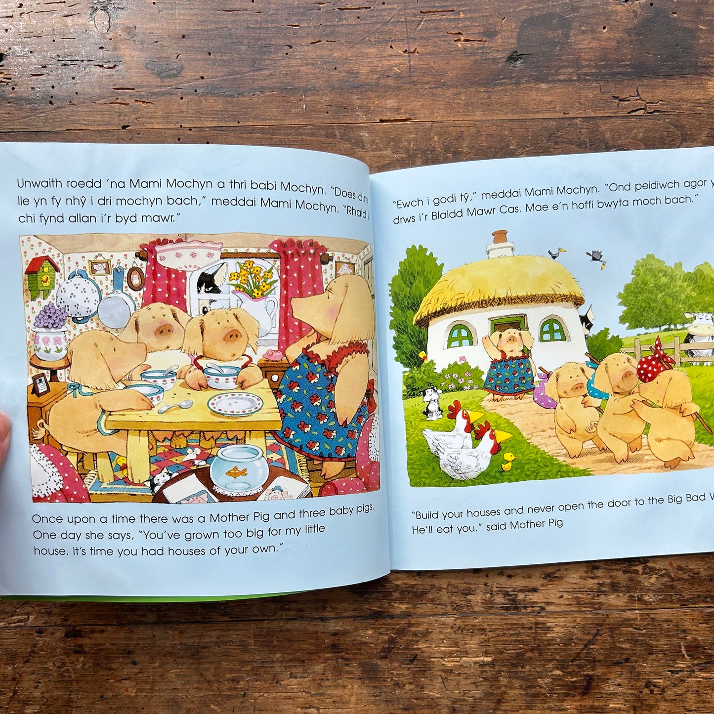 Y Tri Mochyn Bach - Three Little Pigs - Heather Amery & Stephen Cartwright - Welsh & English (Preloved)
