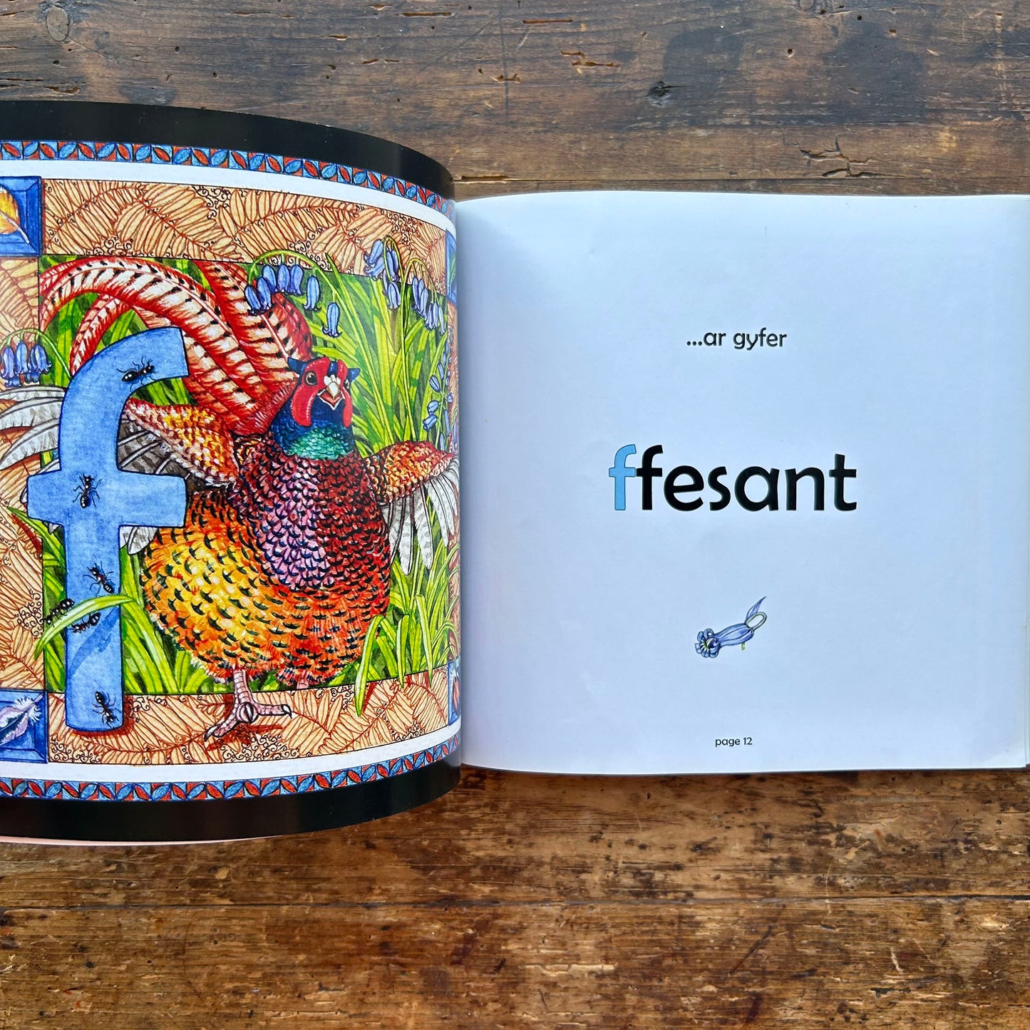 Y Wyddor Wyllt Gymraeg - A Wild Welsh Alphabet (Preloved)