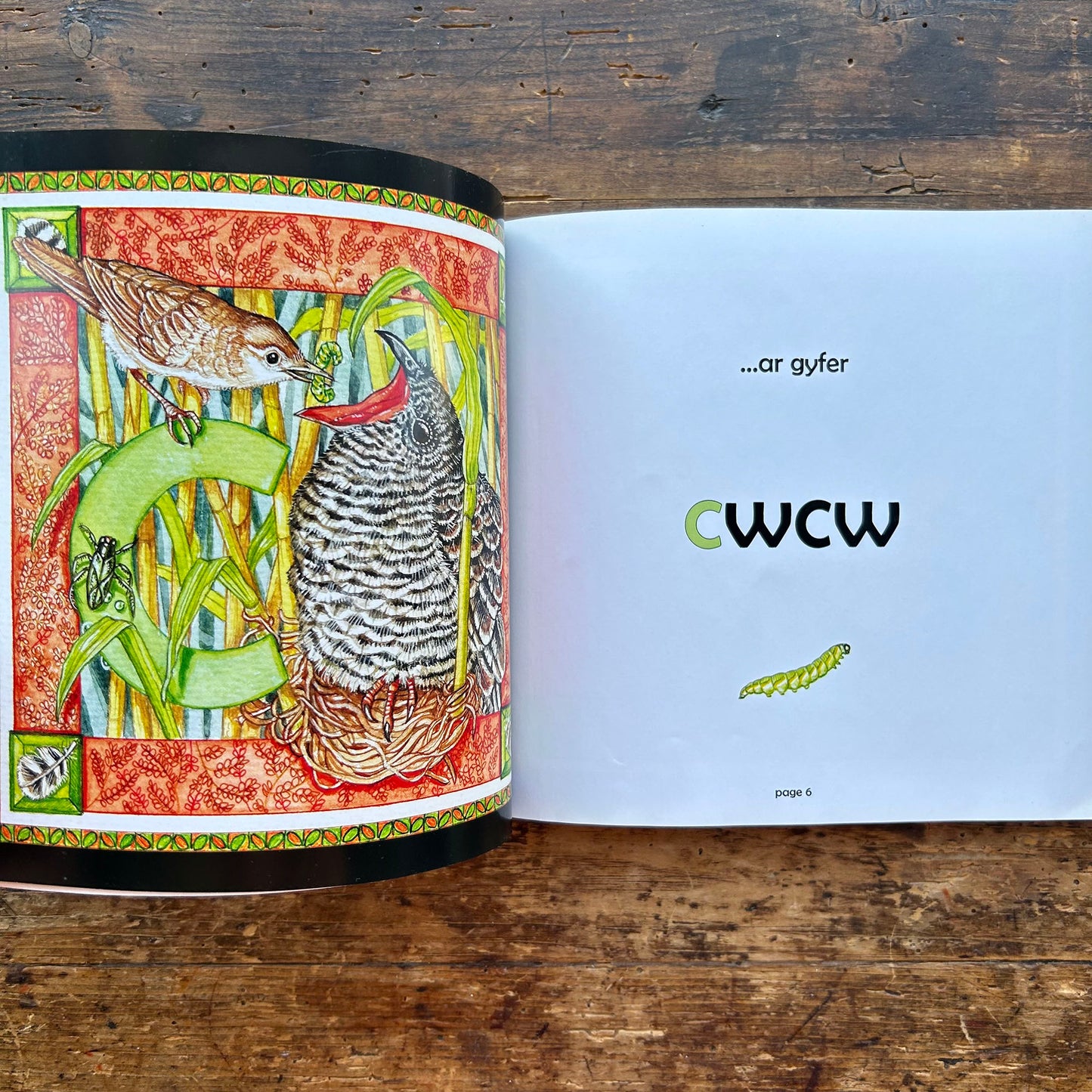 Y Wyddor Wyllt Gymraeg - A Wild Welsh Alphabet (Preloved)