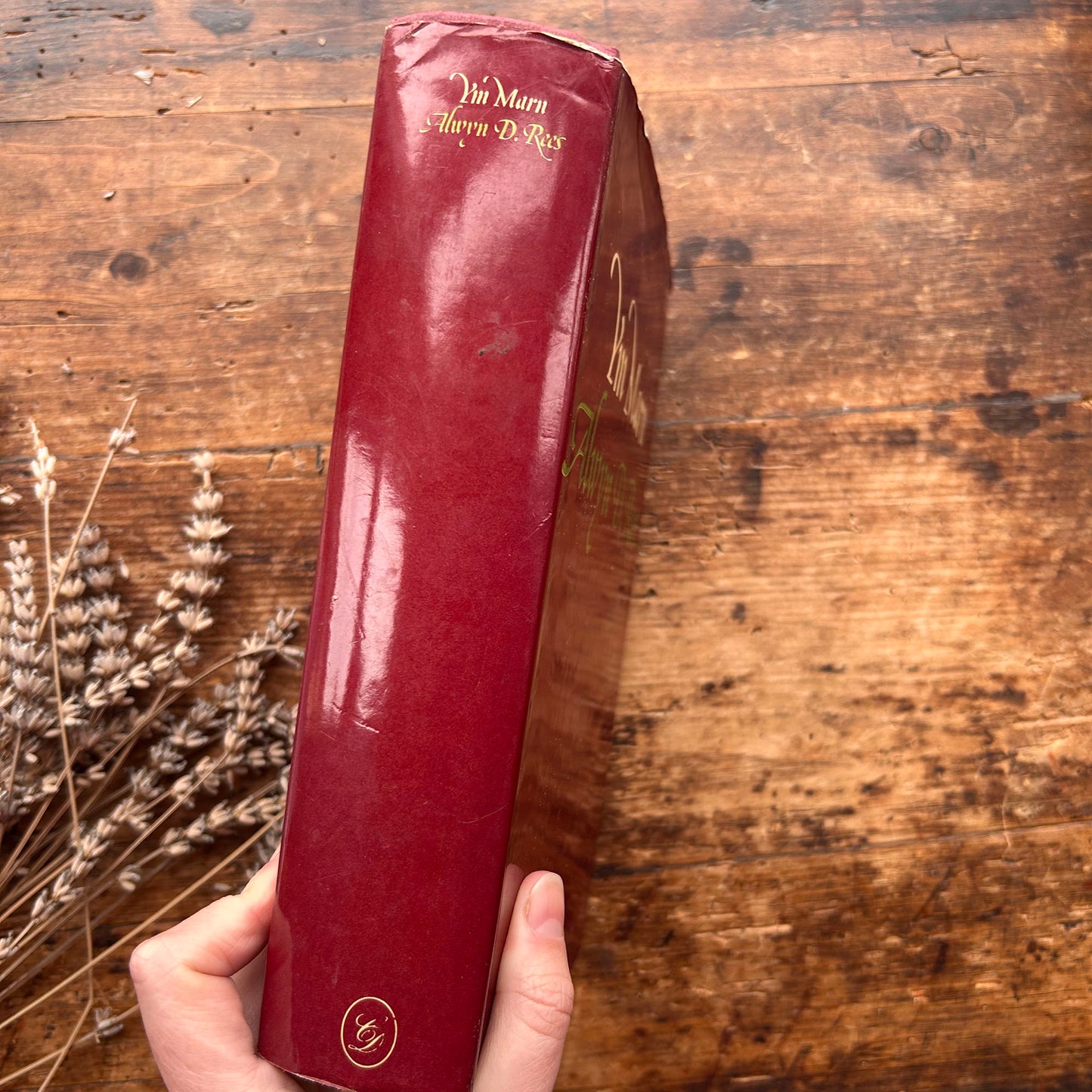 Ym Marn - Alwyn D. Rees - 1976 (Preloved)