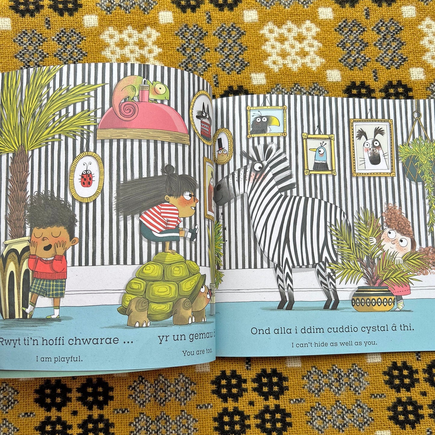 Yn Debyg Ond Gwahanol / The Same but Different Too (Preloved)
