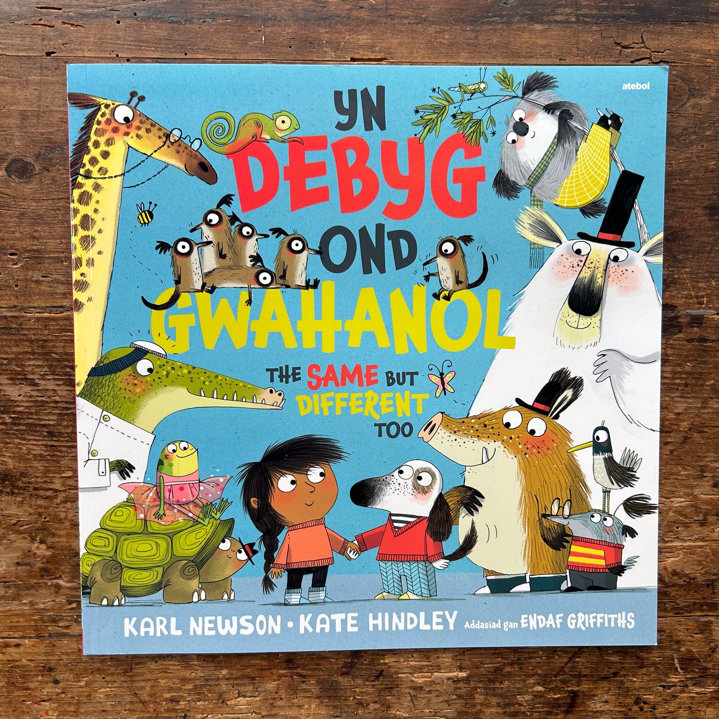 Yn Debyg Ond Gwahanol / The Same but Different Too (Preloved)