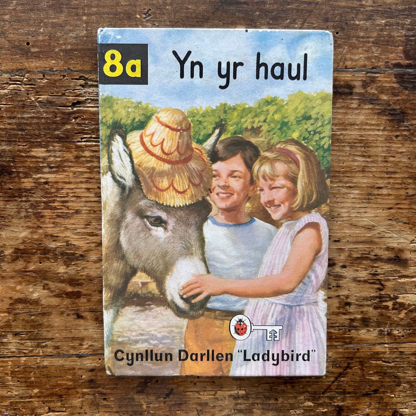 Cymeriadau'r Beibl - Cymeriadau Beiblaidd 1957 (Preloved)