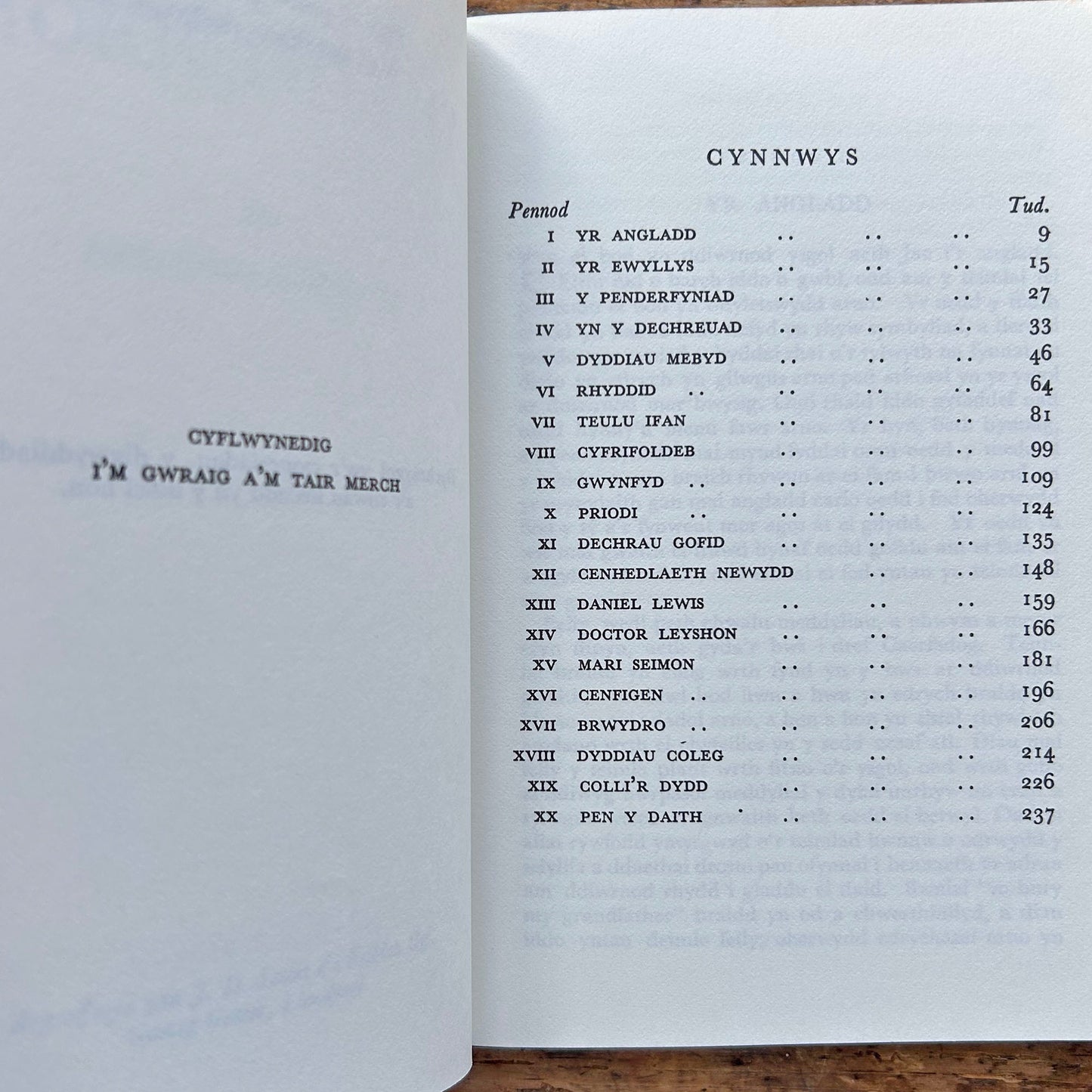 Yr Etifeddion - W. Leslie Richards (Preloved)