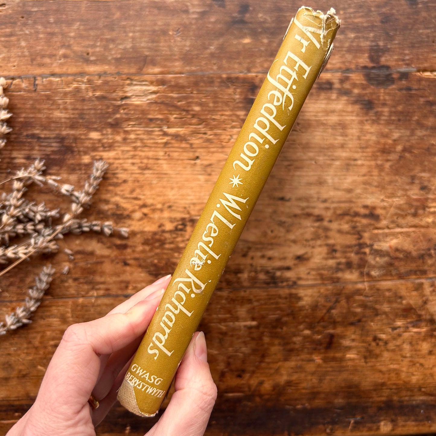 Yr Ettfeddion - Nofel Gan W. Leslie Richards - 1956 1st edition (Preloved)