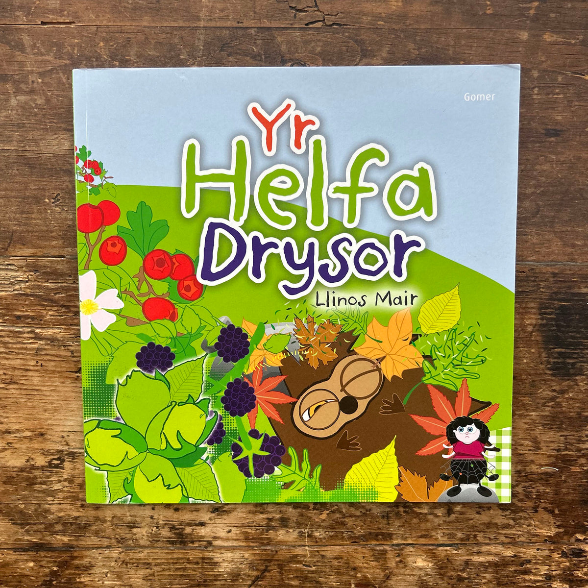 Yr Helfa Drysor - Llinos Mair (Preloved)