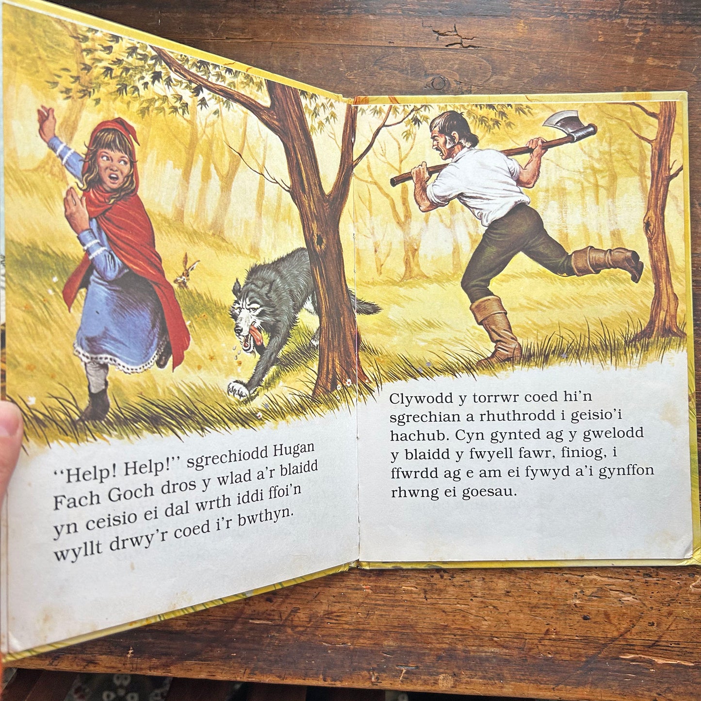 Yr Hugan Fach Goch - Nawr Gellwch Chi Ddarllen - Vintage (Preloved)