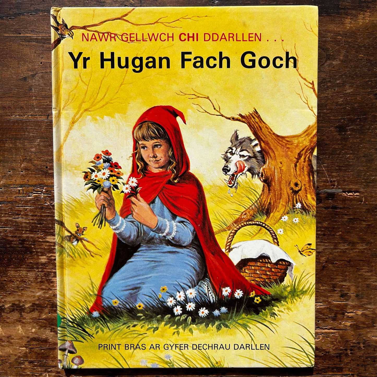 Yr Hugan Fach Goch - Nawr Gellwch Chi Ddarllen - Vintage (Preloved)