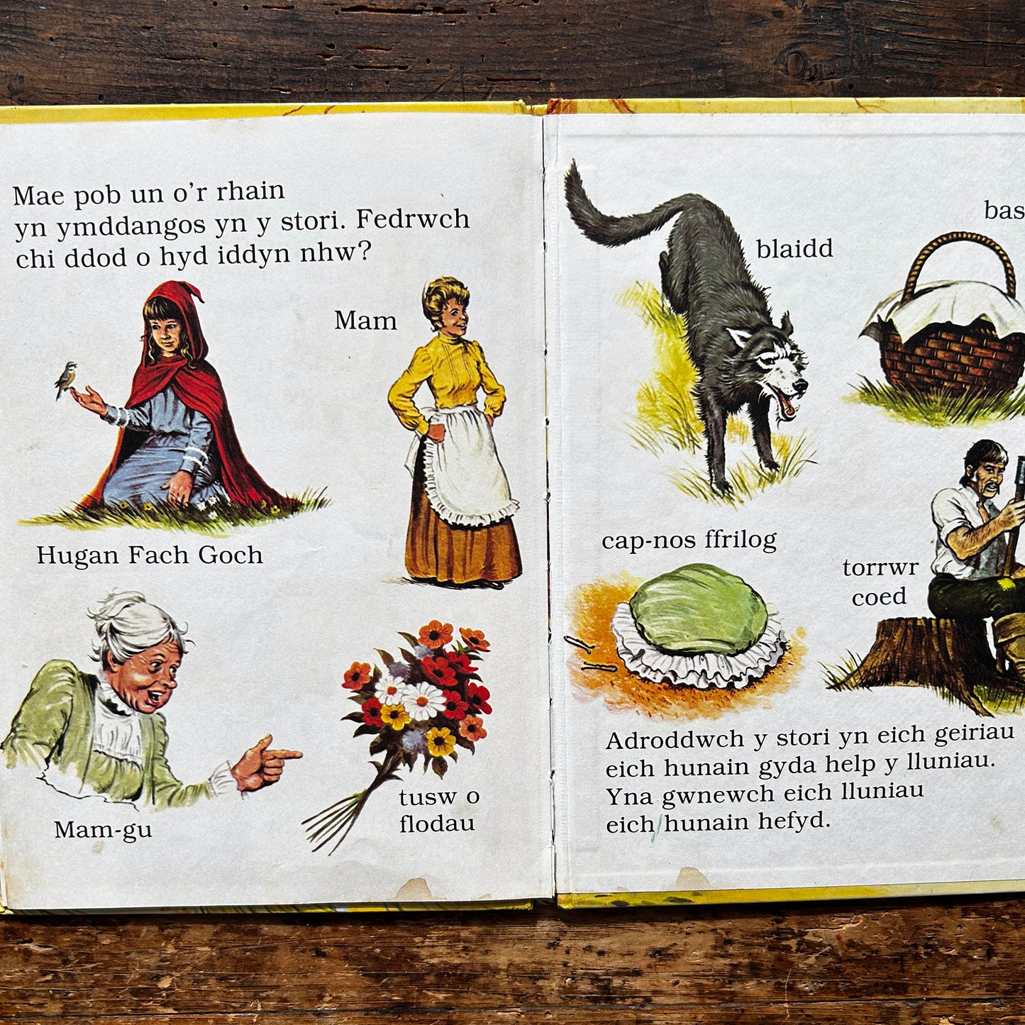Yr Hugan Fach Goch - Nawr Gellwch Chi Ddarllen - Vintage (Preloved)