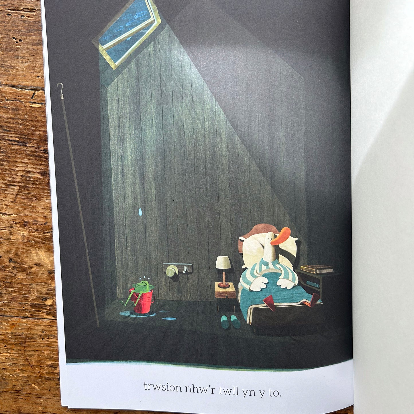 Yr Hwyaden Nad Oedd Yn Hoffi Dwr - Steve Small (Preloved)