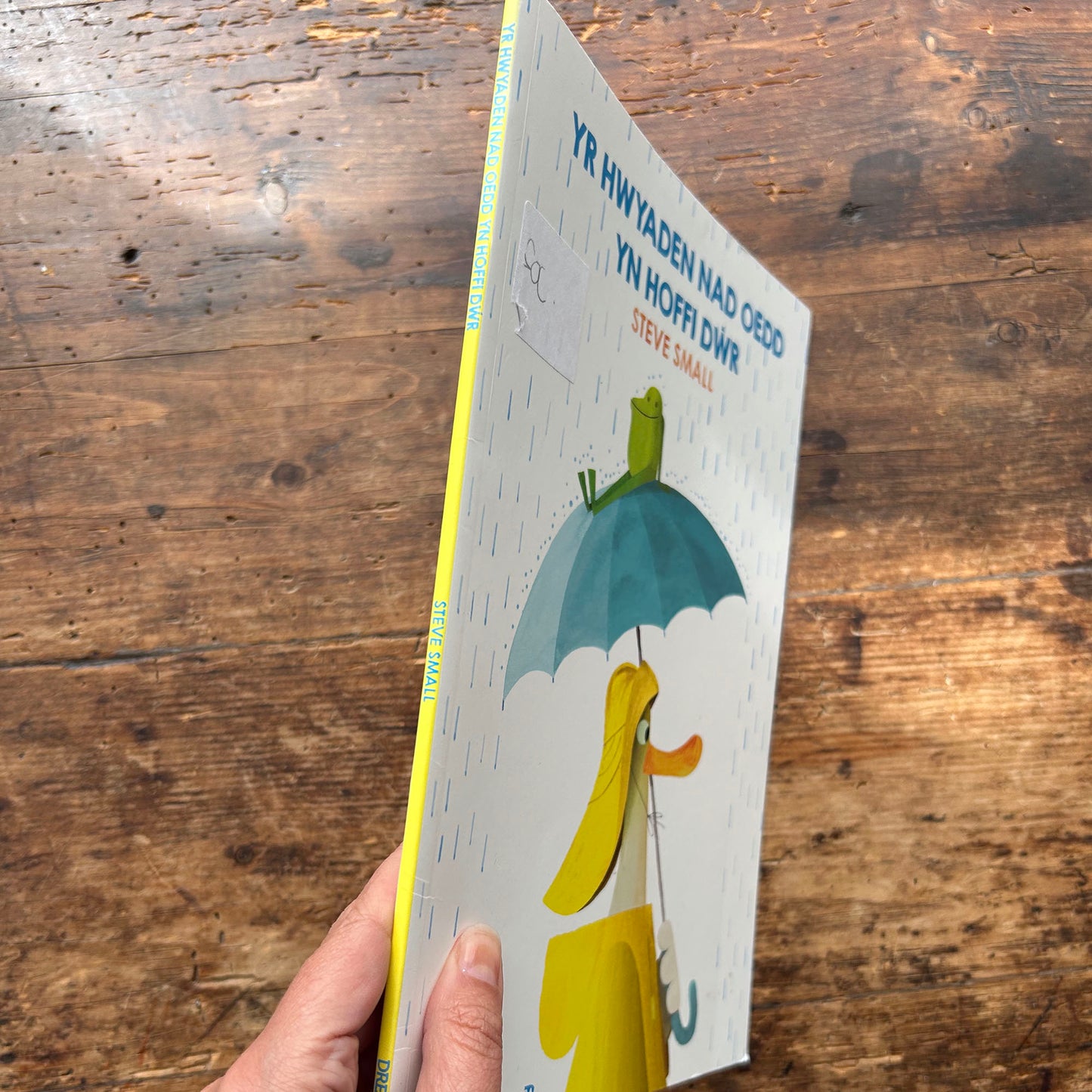 Yr Hwyaden Nad Oedd Yn Hoffi Dwr - Steve Small (Preloved)