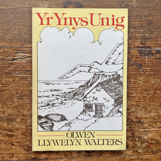 Yr Ynys Unig - Olwen Llywelyn Walters - Ghost Story - Signed (Preloved)