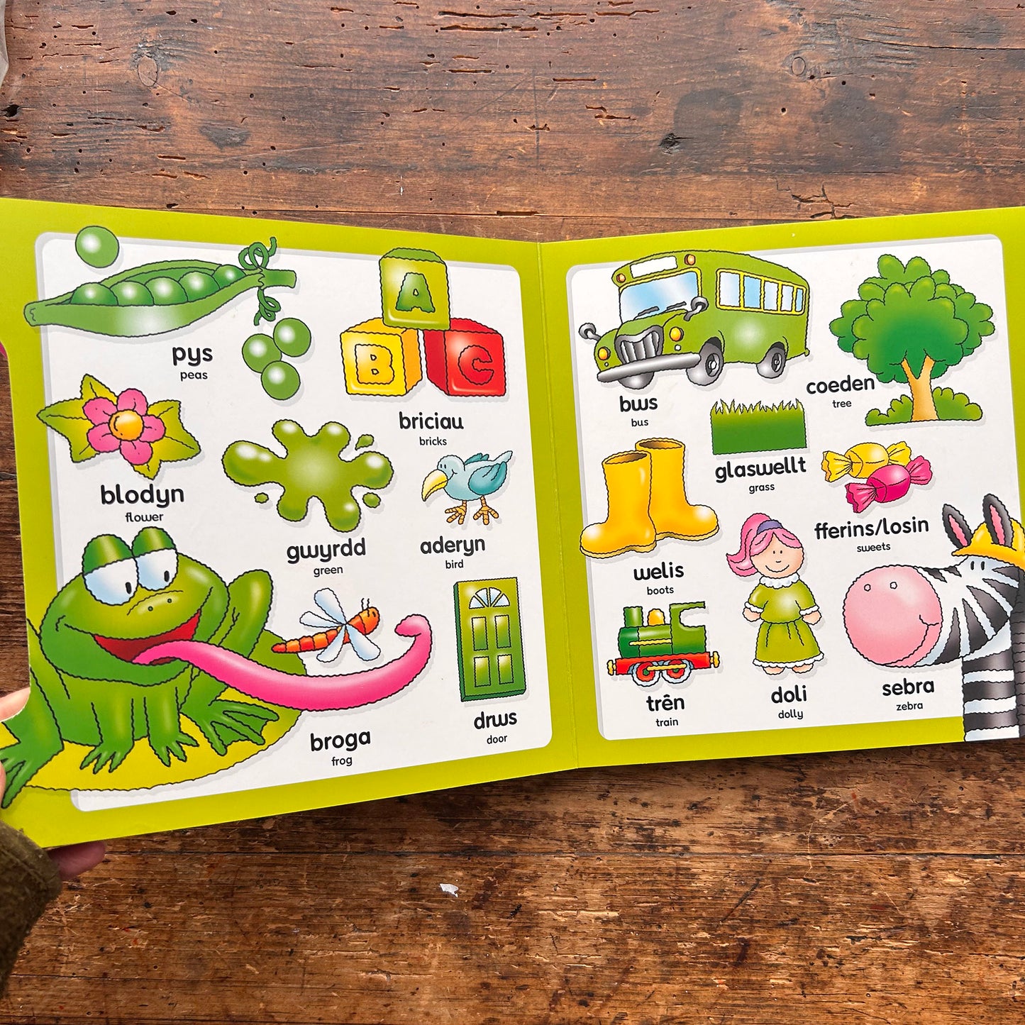 Ysgrifennu Geiriau Cyntaf / Writing My First Words (Preloved)