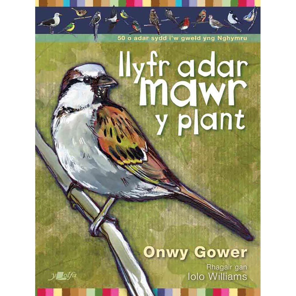 Llyfr Adar Mawr y Plant - Welsh Birds - Onwy Gower