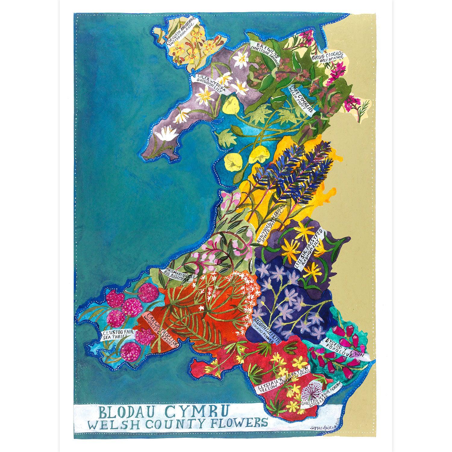 Poster / Print - Map - Blodau Cymru / Welsh Flowers - A3