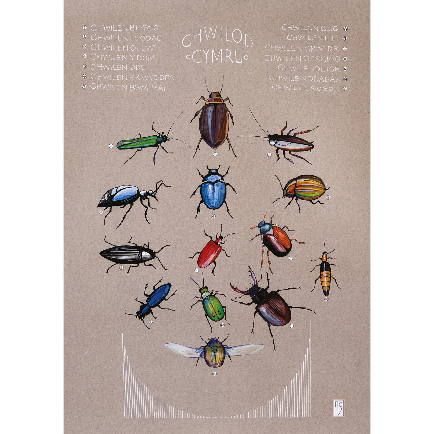 Print - Welsh Beetles - Chwilod Cymru - A3