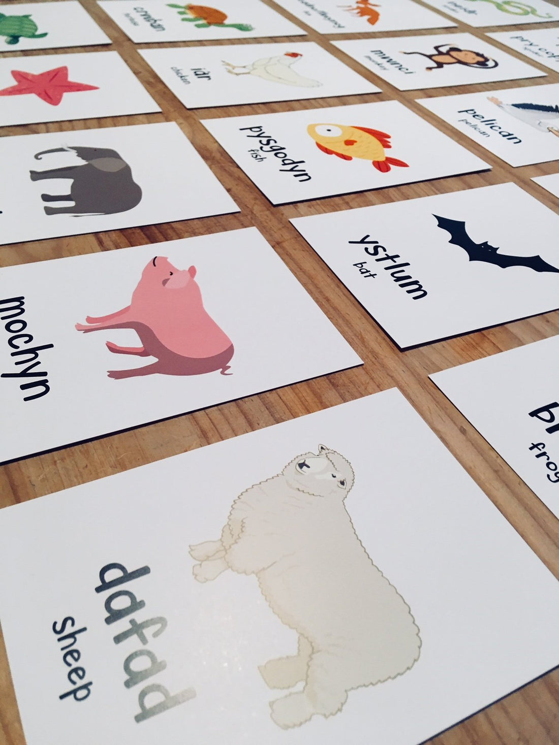 Welsh Flash Cards Animals