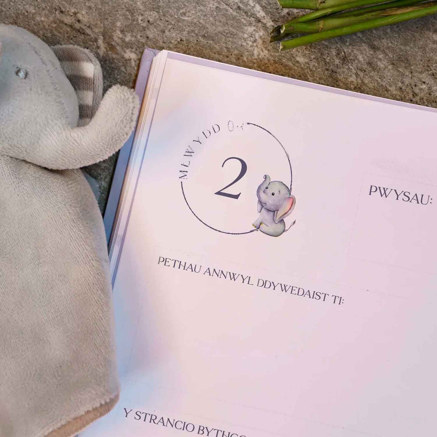 Baby Memory Book - Welsh Language - Elephant - 1st Class UK Delivery Included