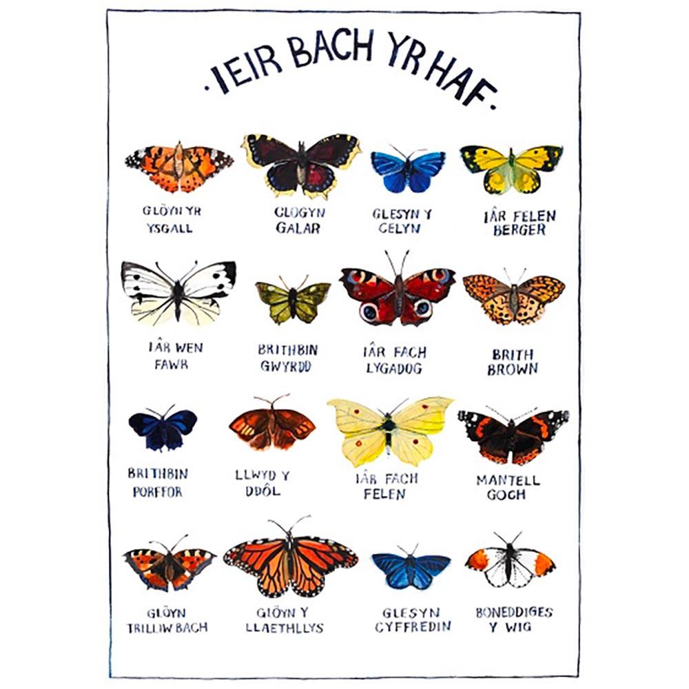 Poster / Print - Ieir Bach Yr Haf - Butterflies