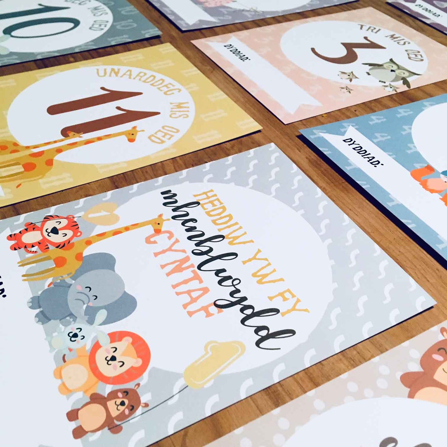 Welsh Baby Milestone / Photography Cards