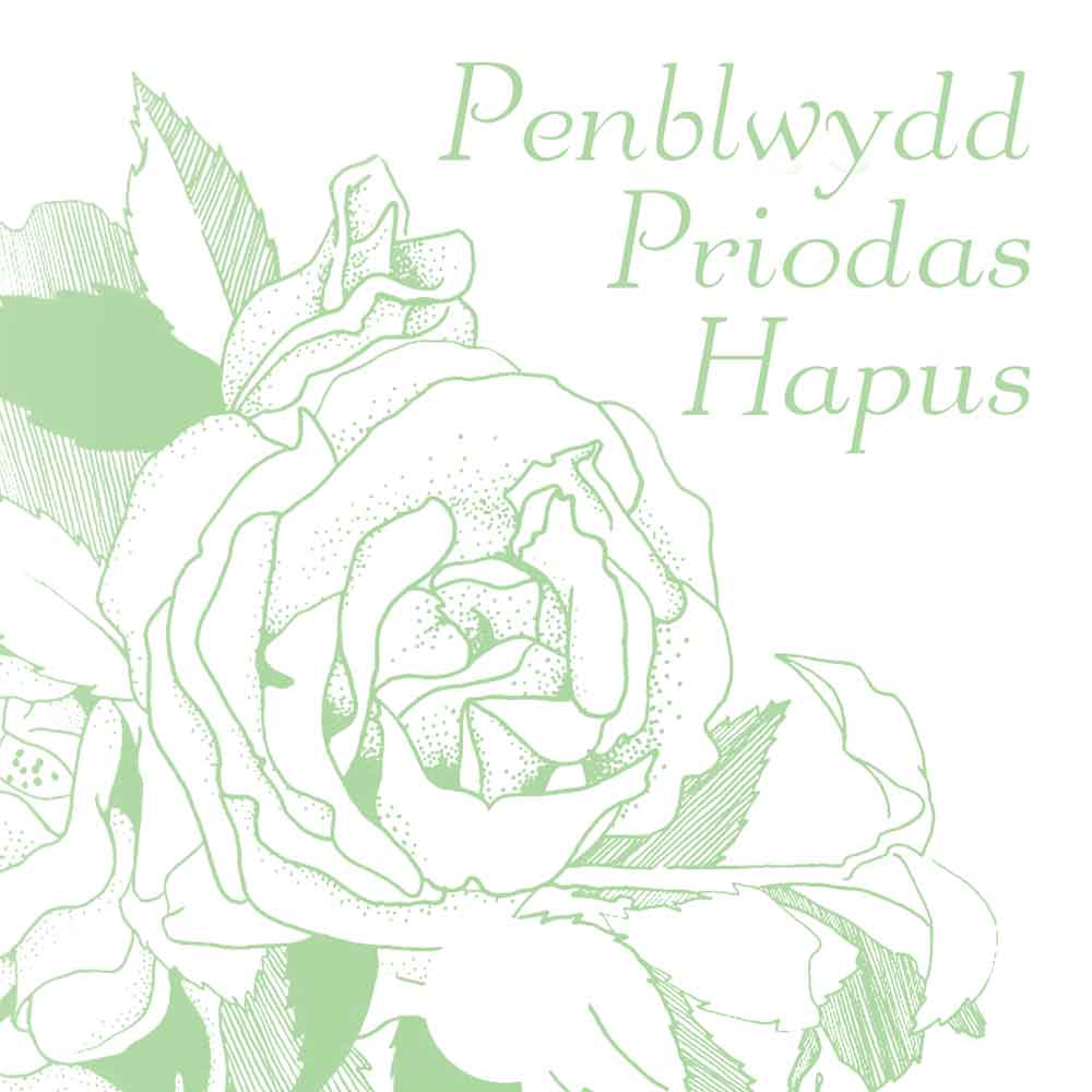 Card - Penblwydd Priodas Hapus - Happy Wedding Anniversary