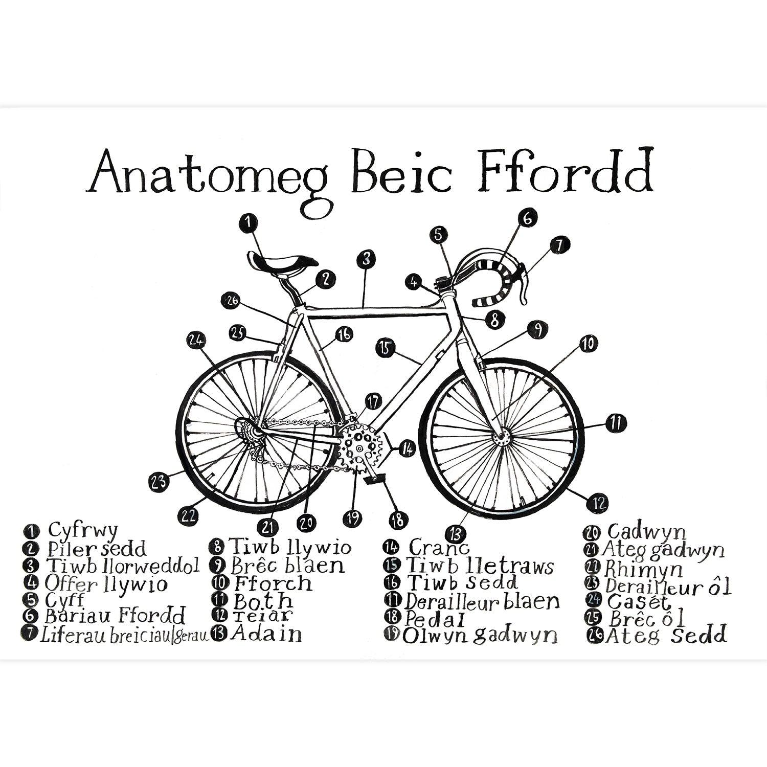 Poster / Print - Anatomeg Beic / Anatomy of a Road Bike - A3