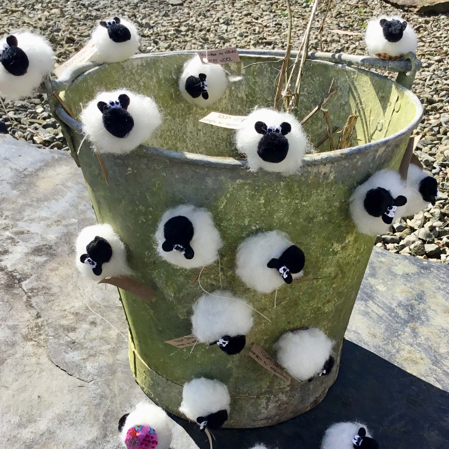 Magnet - Sheep - Pure Wool