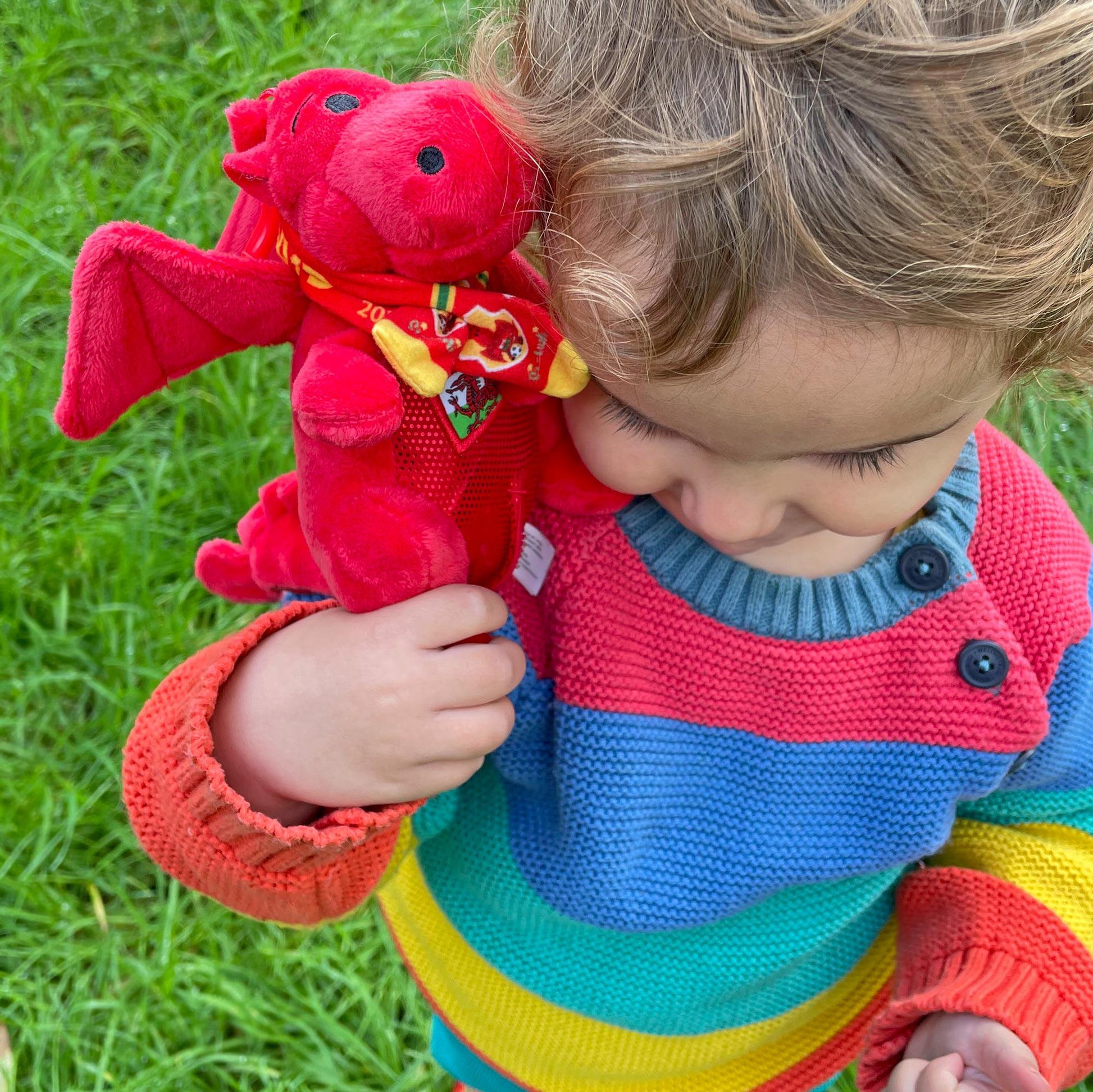 Toy - Celt - Singing Baby Dragon - Welsh National Anthem