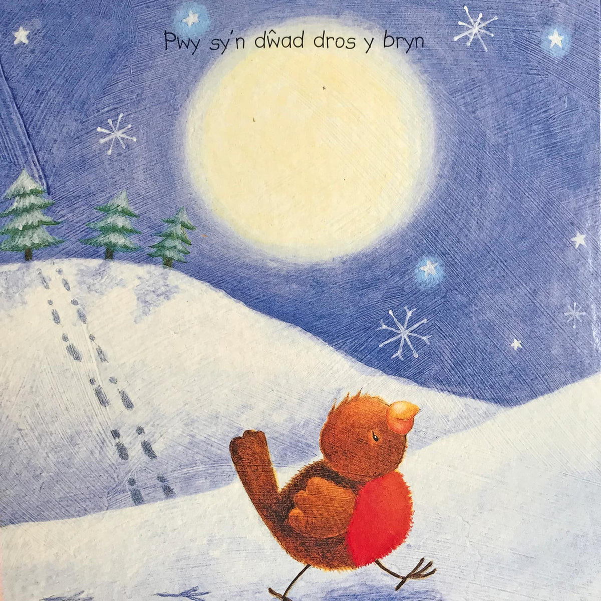 Pwy sy’n dwad... Sion Corn! Welsh Christmas Song Book (Preloved)