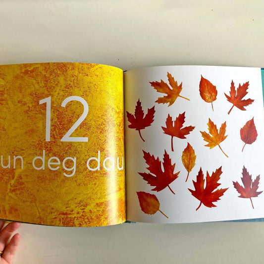 123 Byd Natur - Welsh Numbers - Luned Aaron