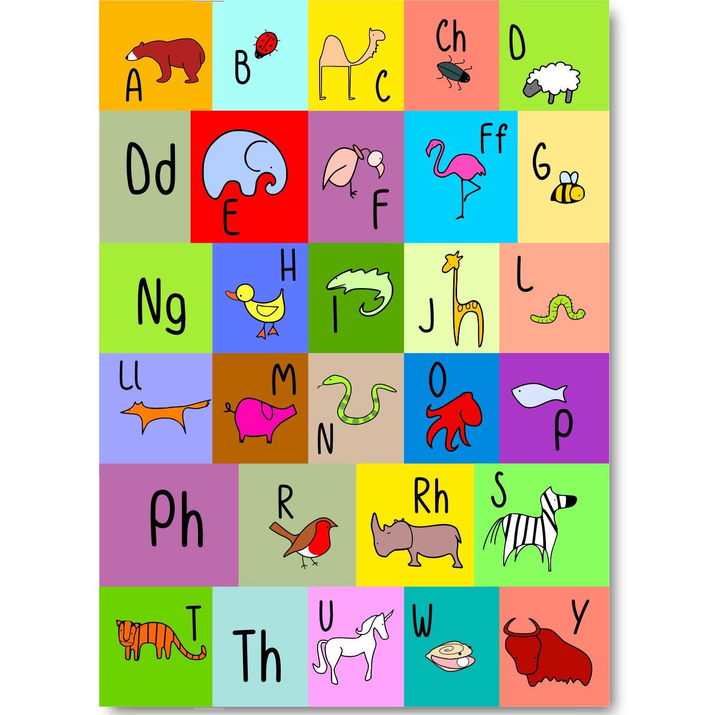 Notebook - Nodiadau - Welsh Alphabet - A5