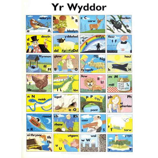 Poster - Yr Wyddor - Welsh Alphabet - Pictures