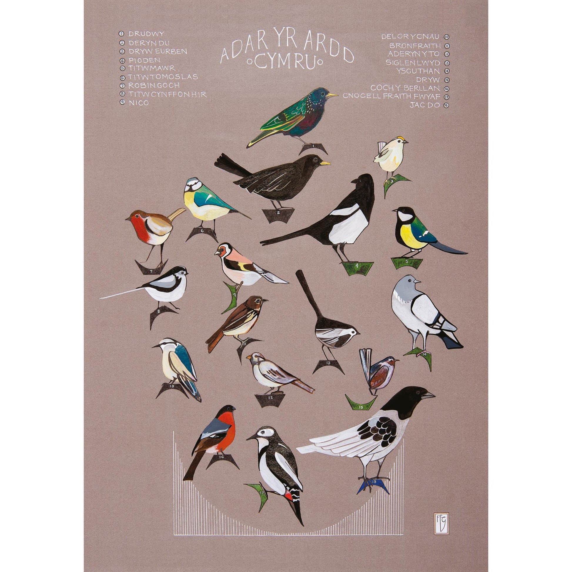 Tea Towel - Birds of Wales - Adar yr Cymru