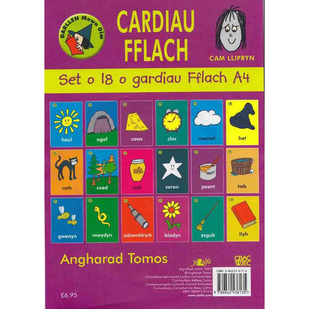 Welsh Flash Cards - Pecyn Cam Y Llipryn Llwyd