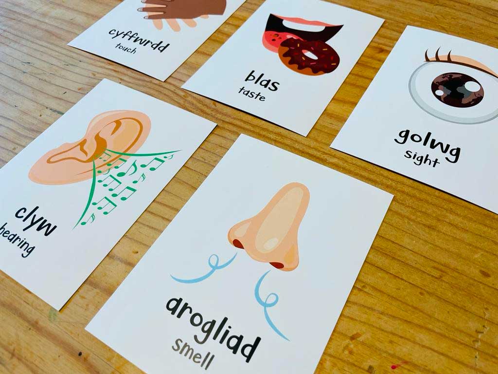 Welsh Flash Cards - All About Me