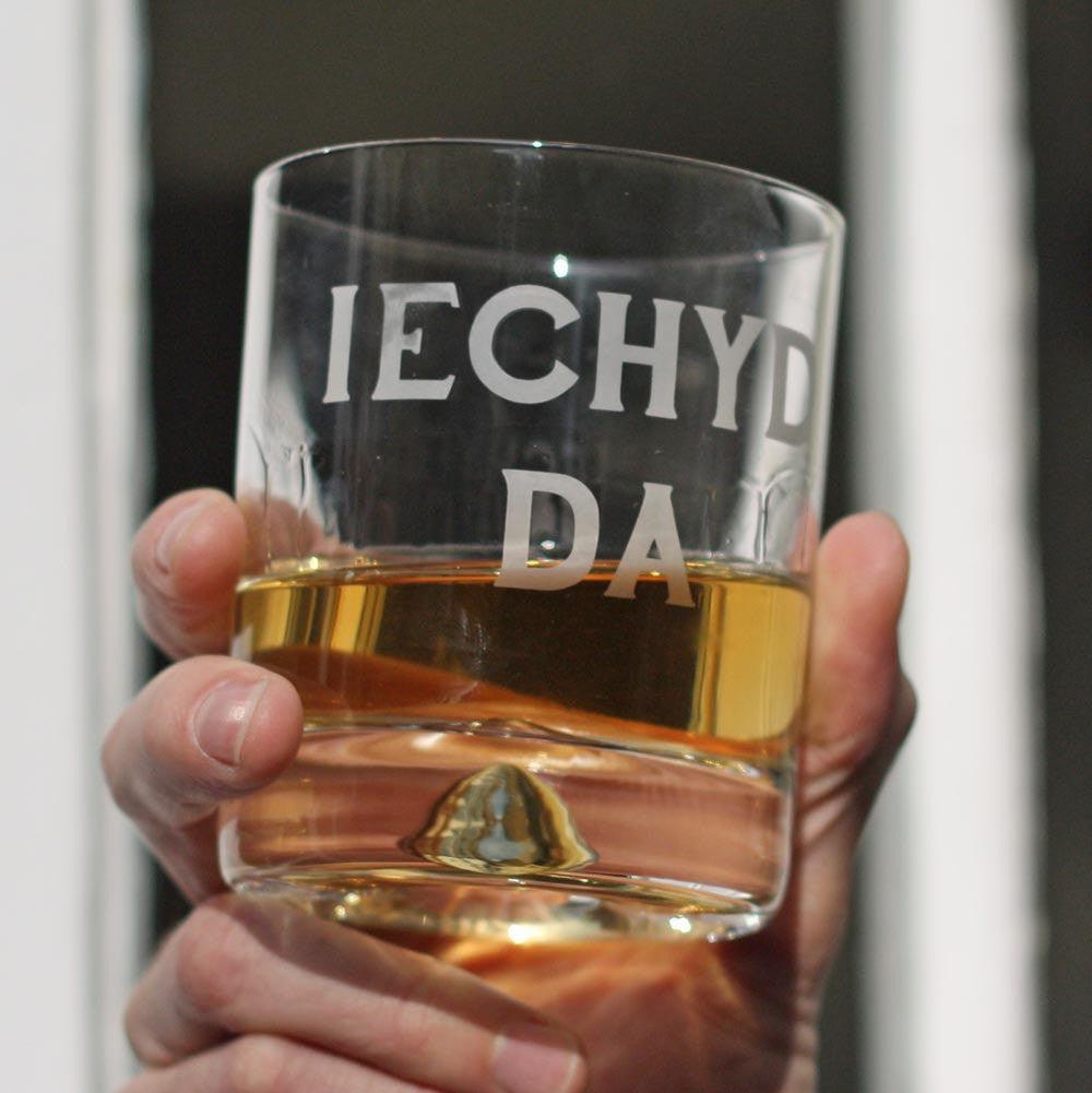 Tumbler / Whisky Glass - Iechyd Da - Good Health - NEW